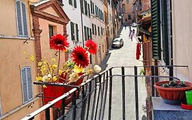 La Campanina-Nel Cuore Di Siena E Della Contrada