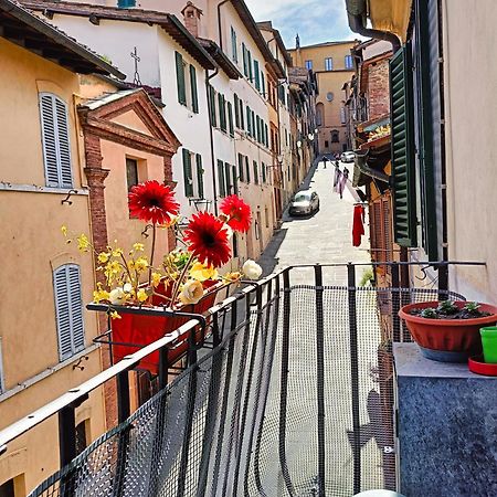 La Campanina-Nel Cuore Di Siena E Della Contrada Extérieur photo